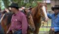 dr dolittle 3-avi_596.jpg